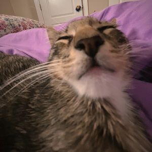 Meet your Posher, Noemi